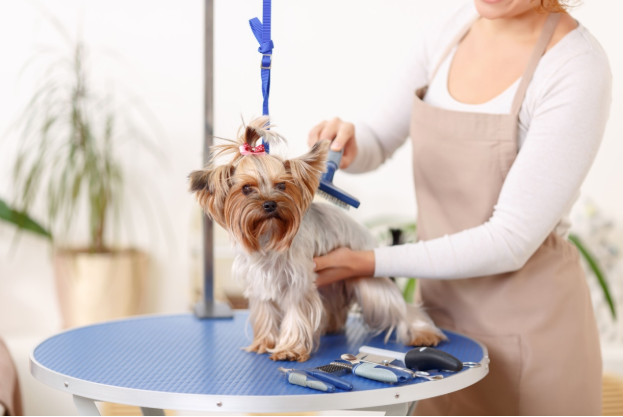 How Pet Grooming Consultants Ensure Your Pet Looks Their Best Every Visit