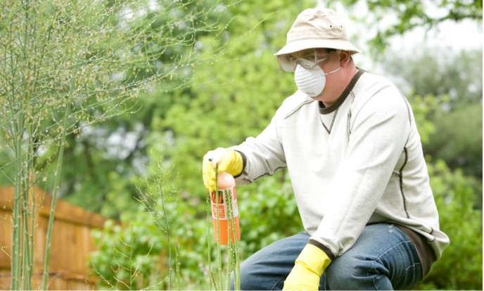 When Your Home Calls for Professional Pest Intervention